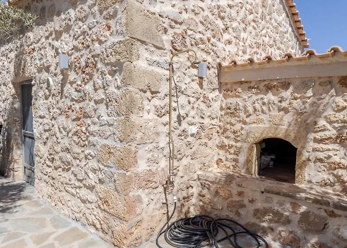 Sonar Deluxe פליטרה